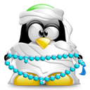 Penguin pingouin pinguino 136